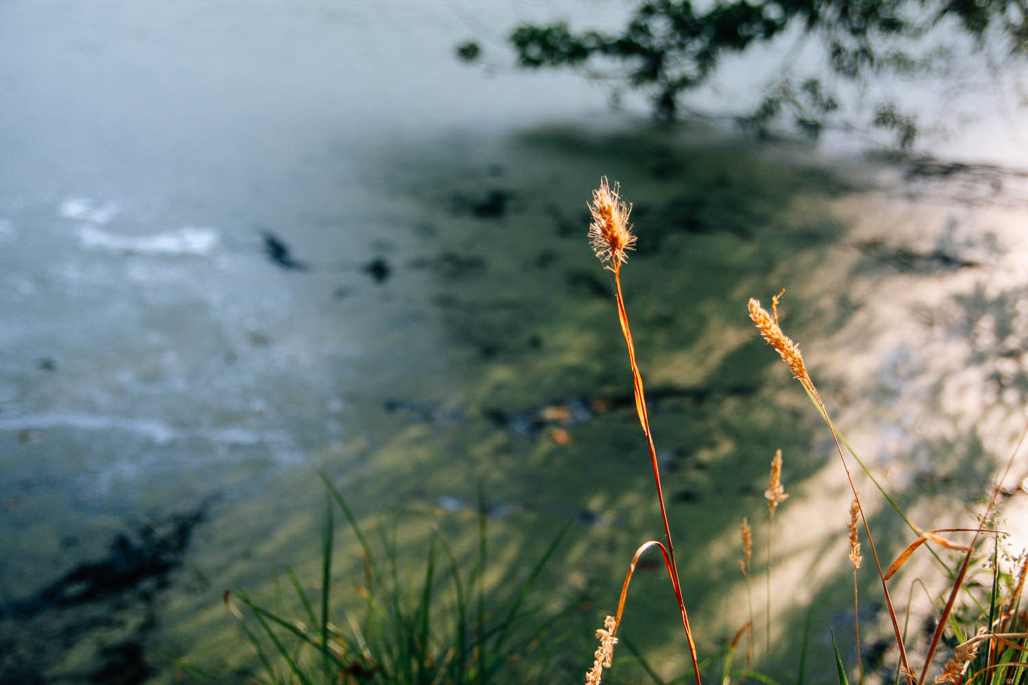   "The more you sense the rareness and value of your own life, the more you realize that how you use it, how you manifest it, is all your responsibility. We face such a&nbsp;big task,&nbsp;so naturally we sit down for a while."&nbsp;    Kobun Chino O