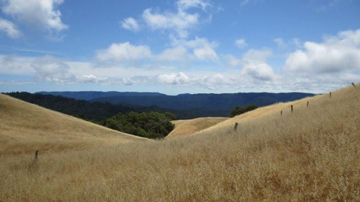 Mindfulness Based Stress Reduction