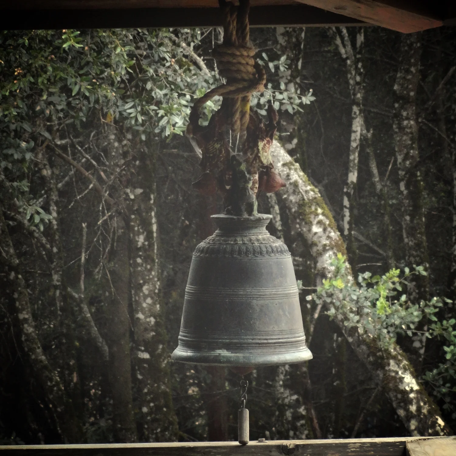 New Year’s at Jikoji