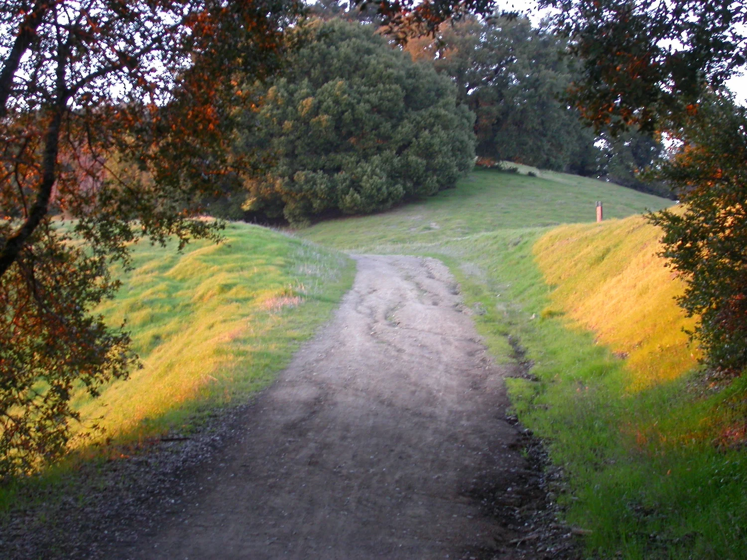 2015 Practice Period