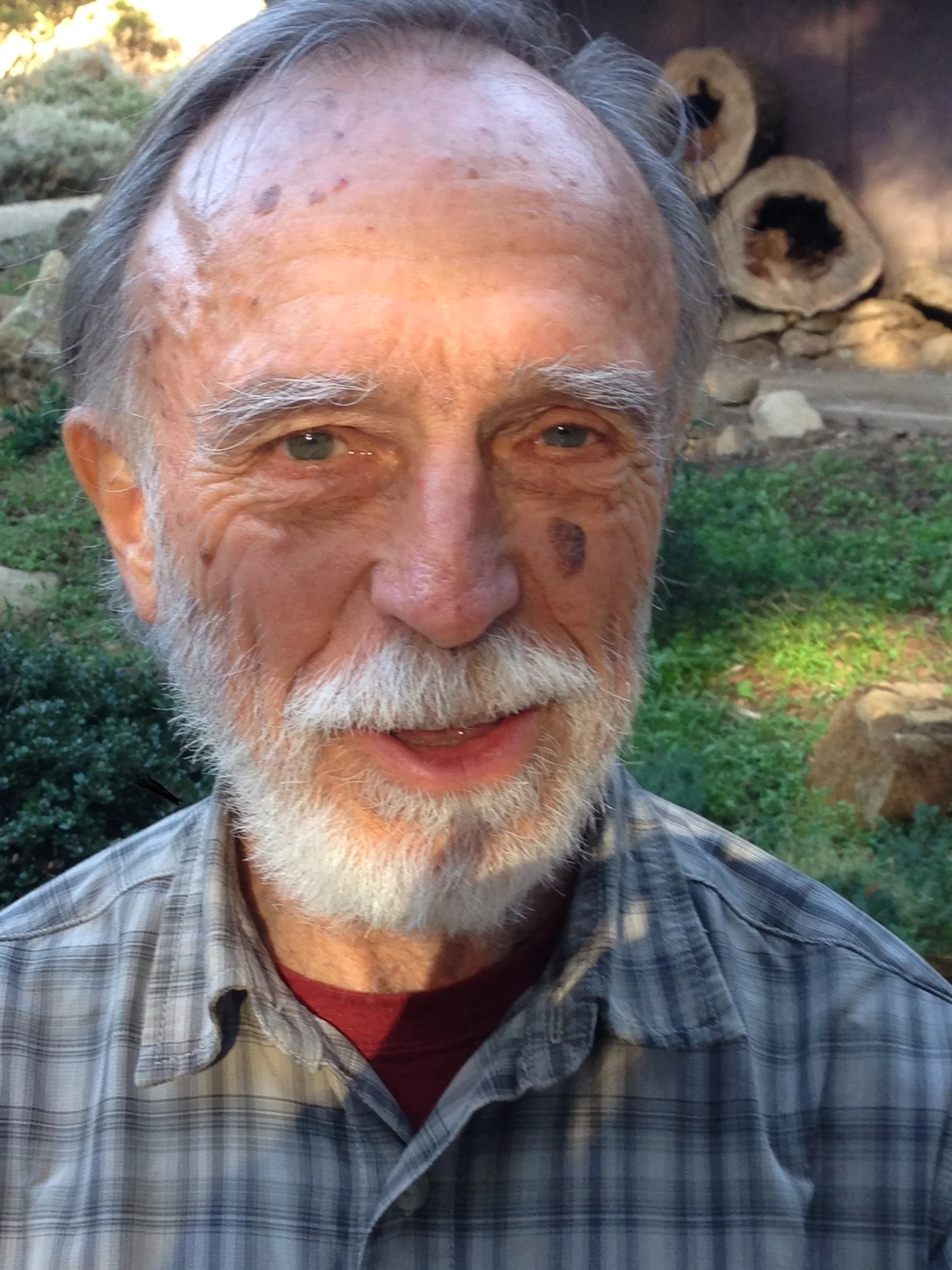 On the Path, Among the Stones