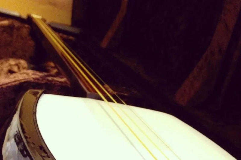Nagauta-Shamisen concert