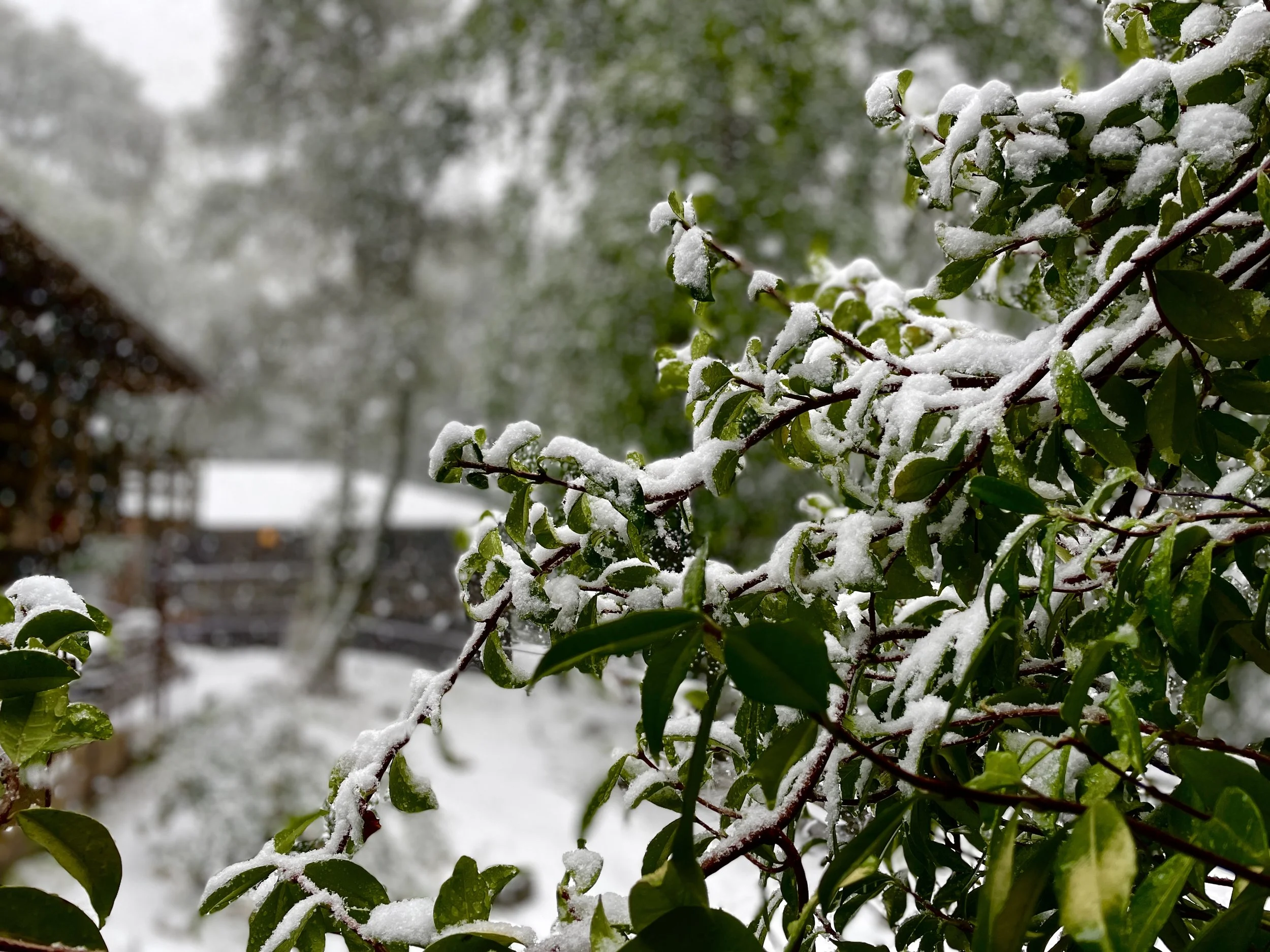 Winter Practice Period (Jan 11 - Apr 05)