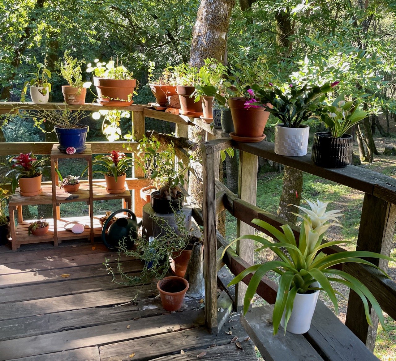 A resident's corner.jpeg