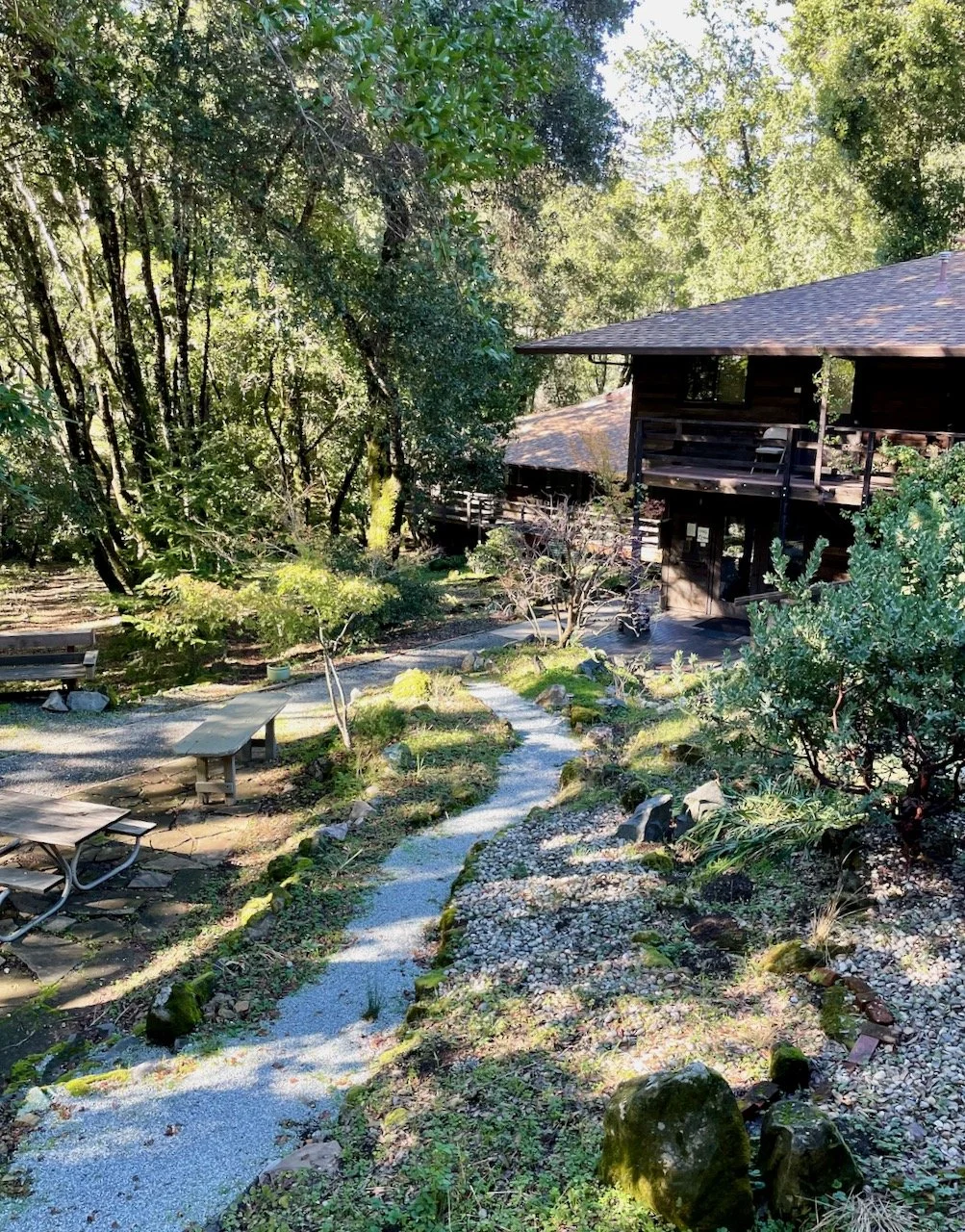 Middle way path with new gravel.jpeg