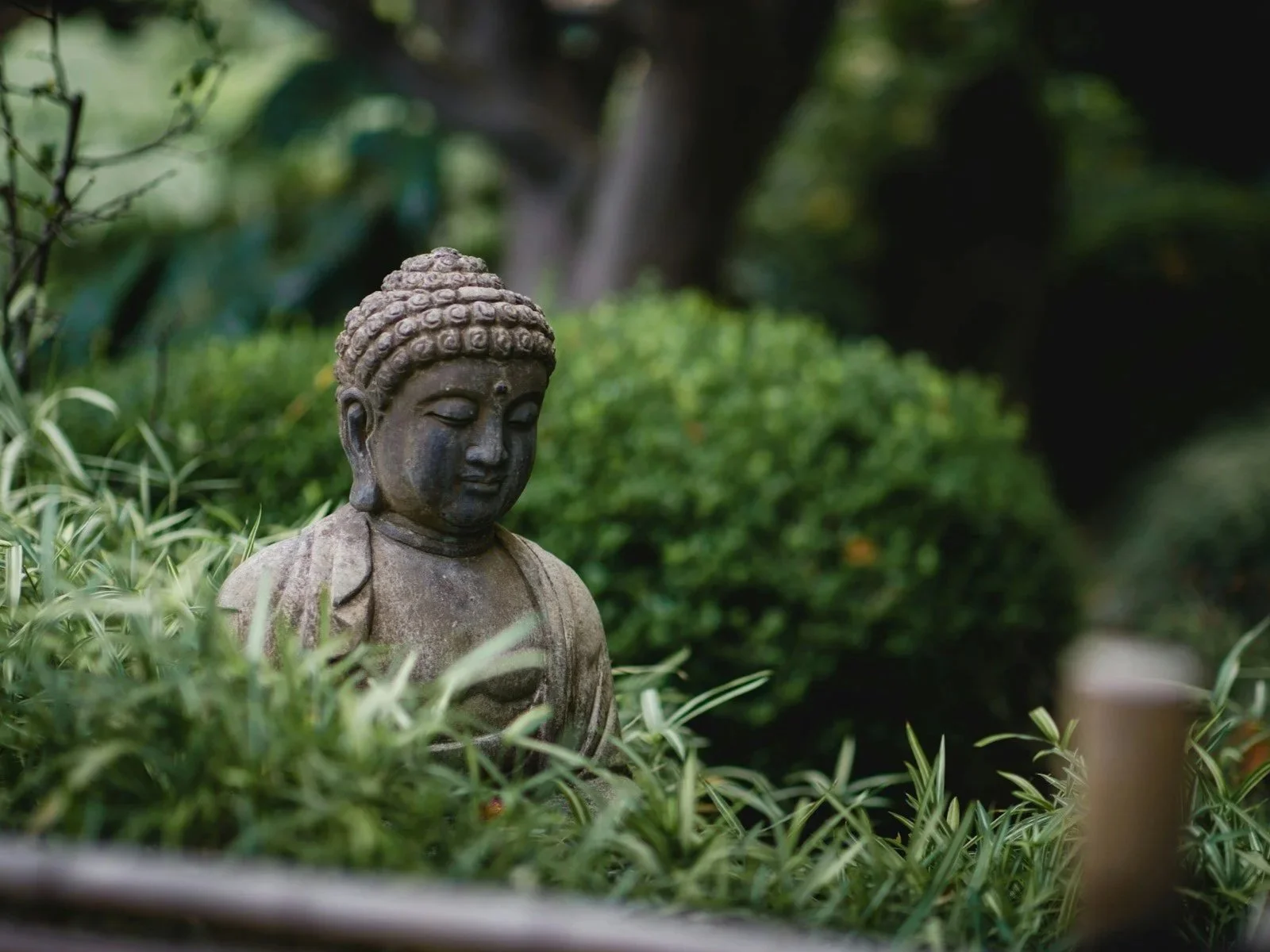 Sunday Program : Buddha’s Birthday