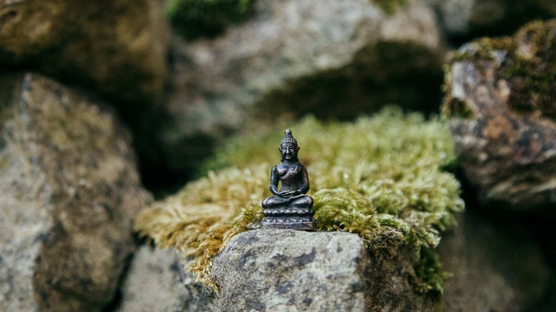 unsplash-image-p22h3XwOBtQ.jpg