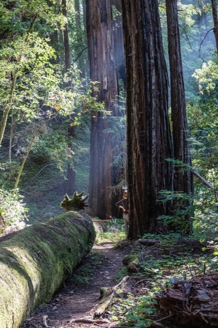 Buddhist Eco-Chaplains