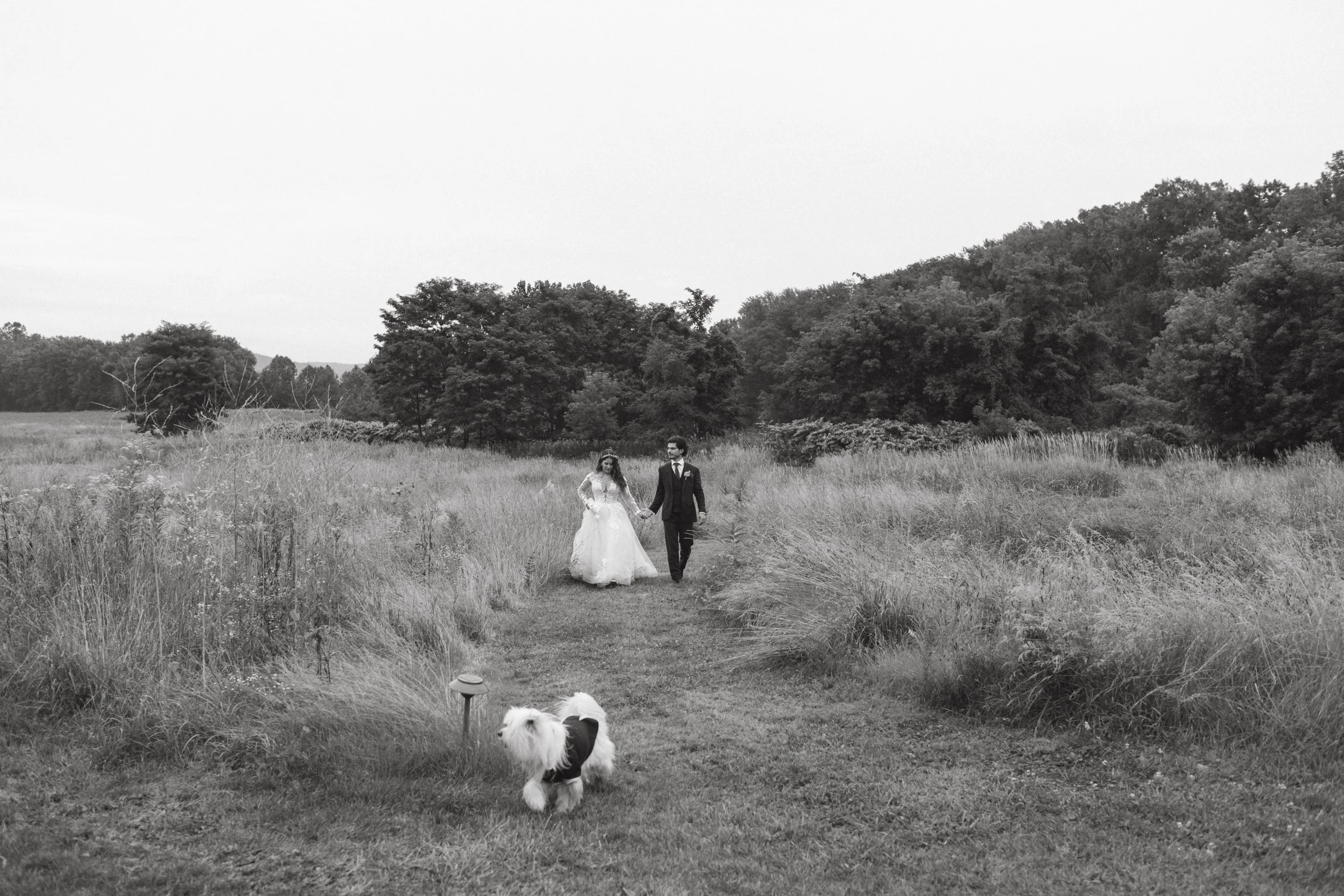 Rachel + Nick's Magical Wedding Celebration at The Maples Estate 
