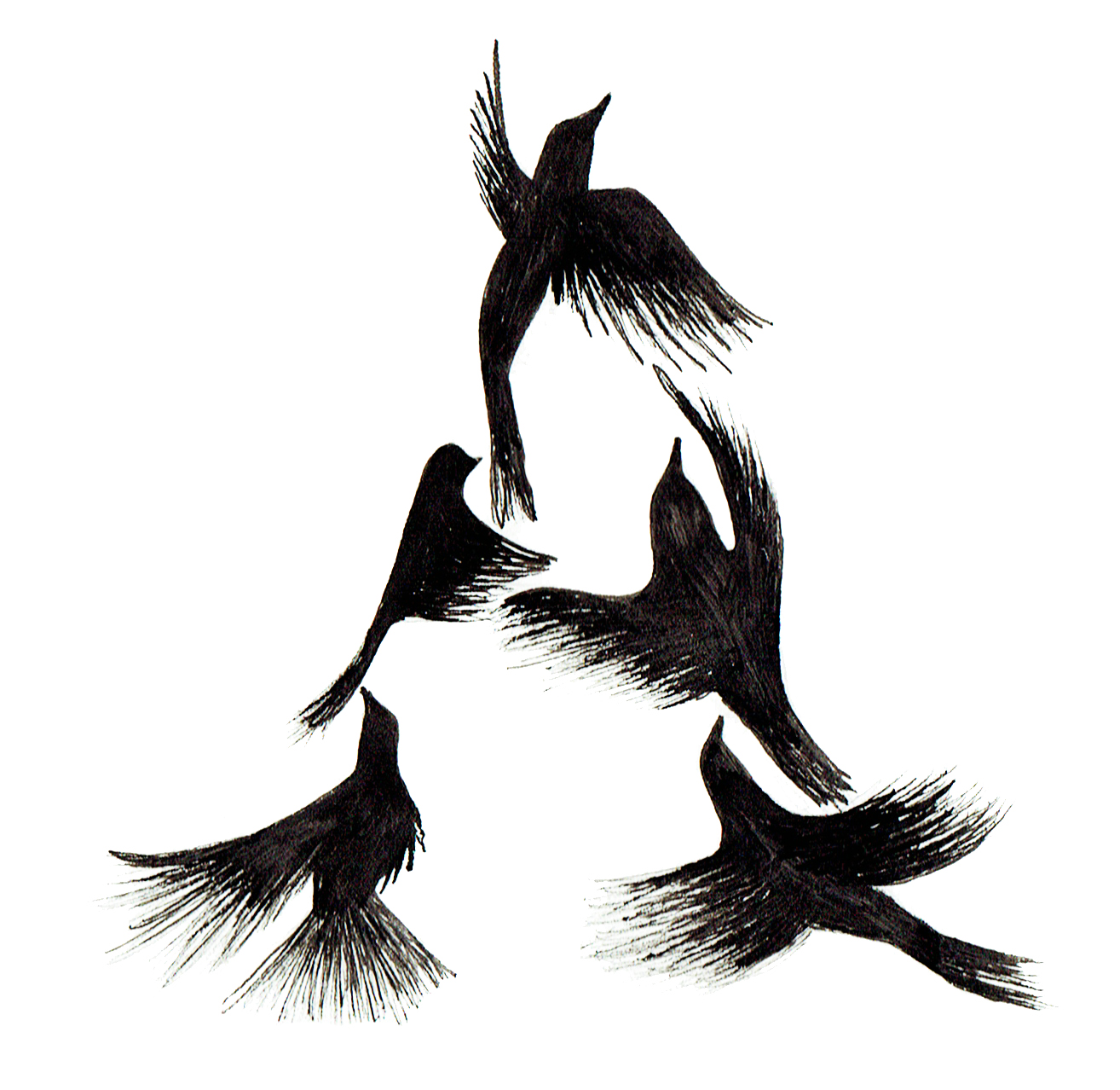 A_crows_JReynolds.jpg