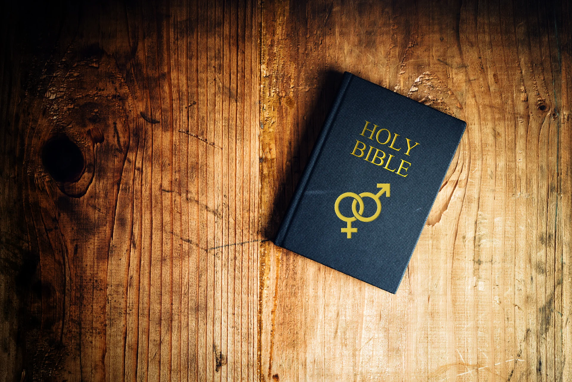 Blog_Bible_Gender.jpg