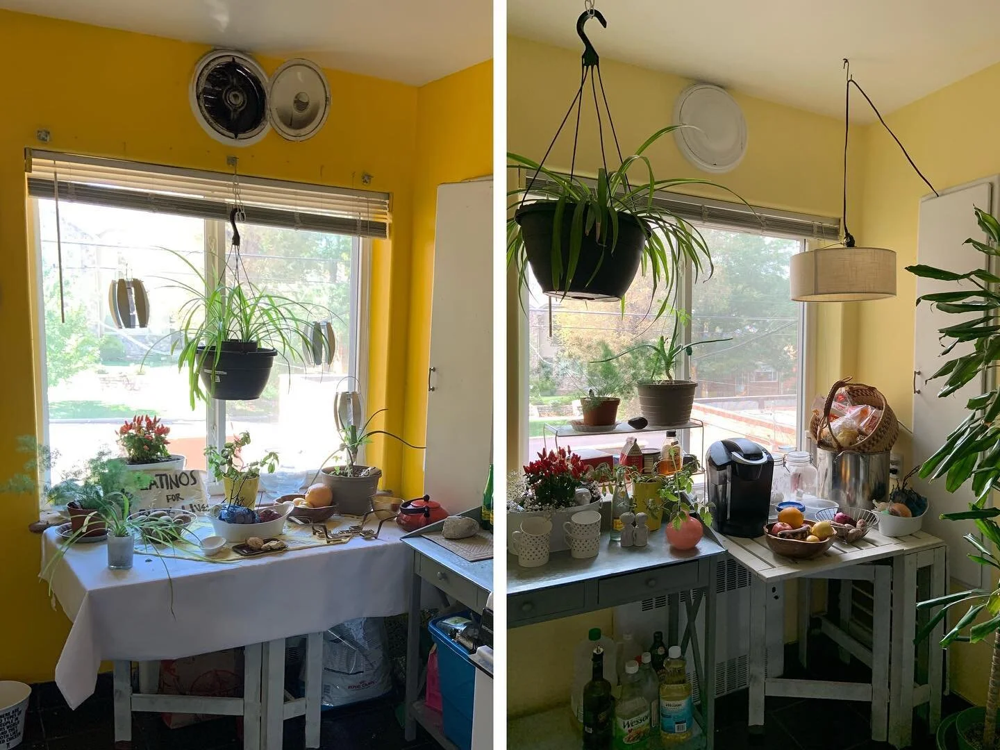 The putrid yellow has finally been defeated. Hello new kitchen! 💛 Autumn Apartment makeover in full effect. Happy Halloween! 😍😈🎃🕷