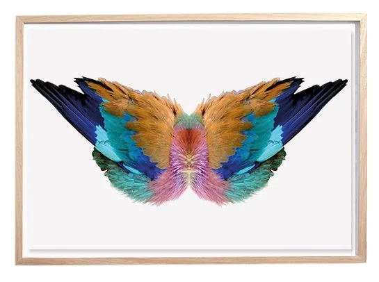 BirdWings.jpg