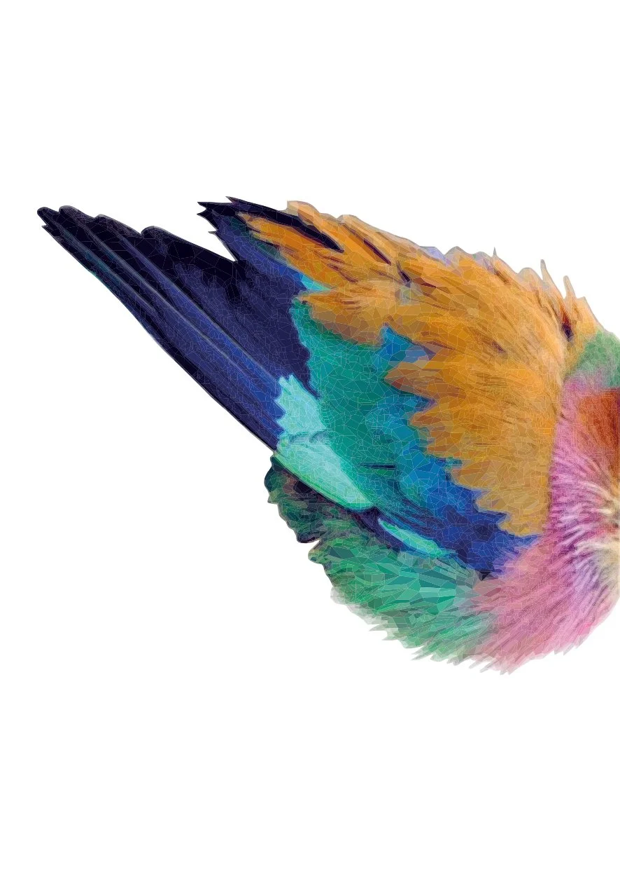 Wing_CloseUP.jpg