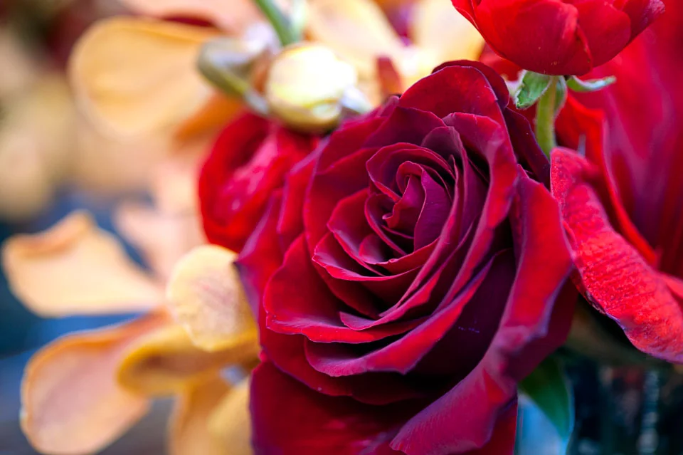 TableArt_Feb_27-0837.jpg