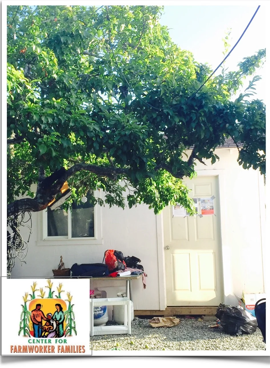 Save the Oaxacan Community Shed