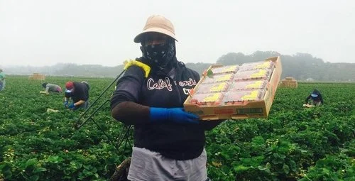 Farmworker Reality Tour - July 30th