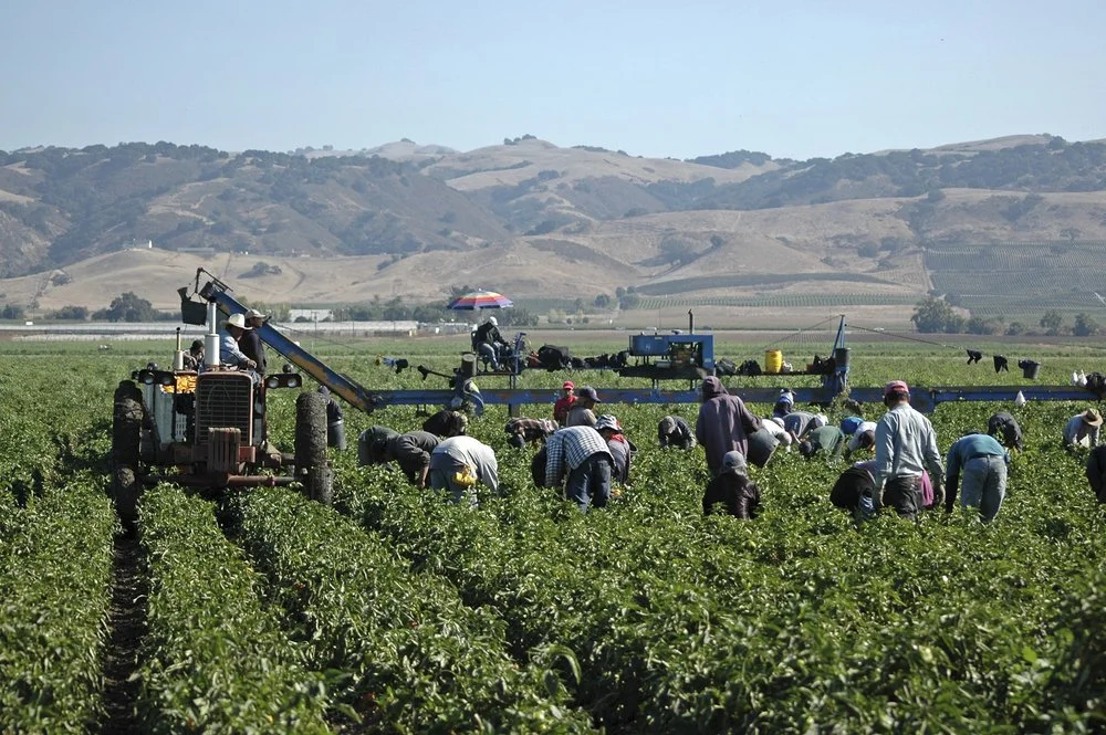 Farmworker Reality Tour / Oct. 6