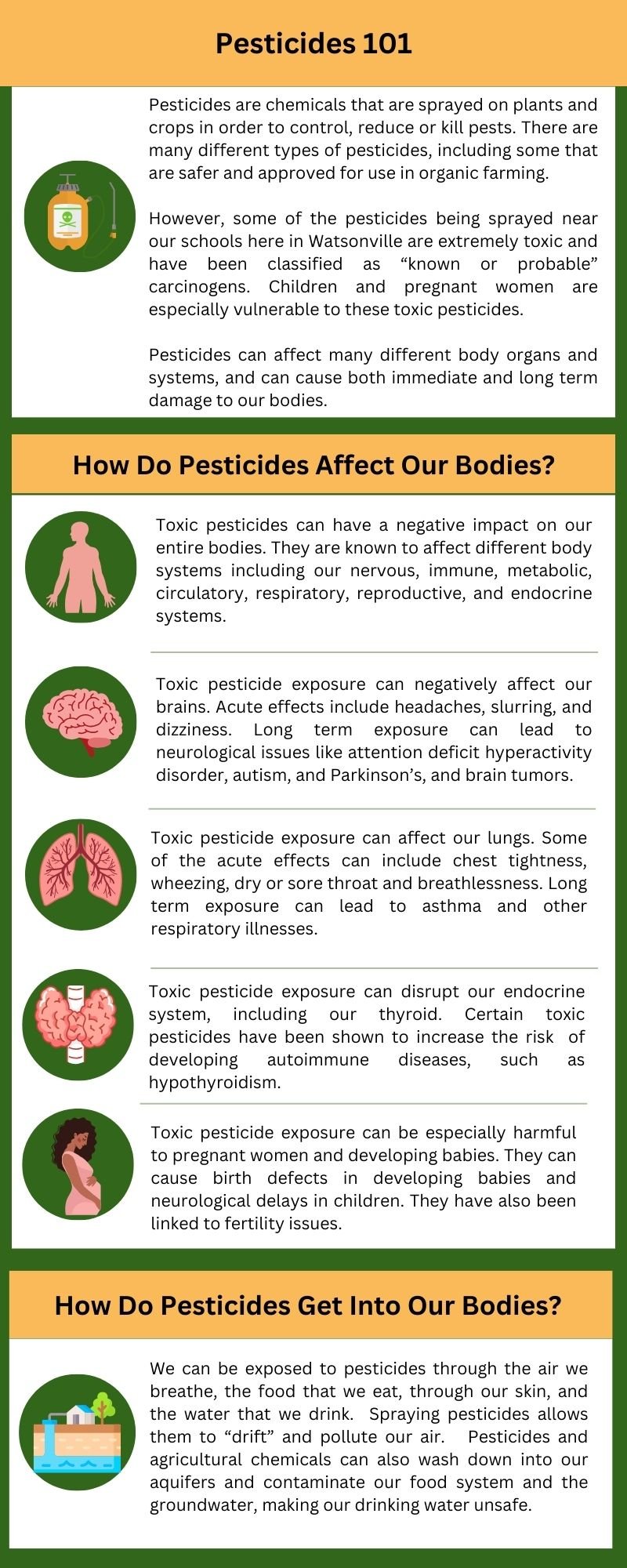 FinalInfographicStopPesticides- Cora-page3.jpg