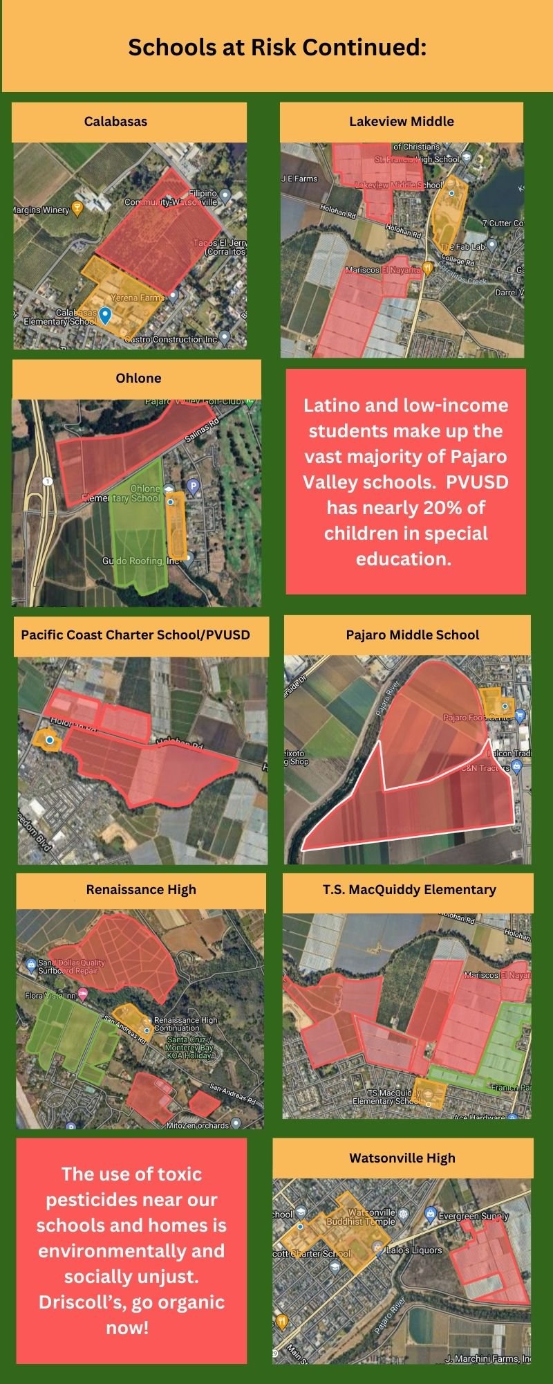 FinalInfographicStopPesticides- Cora-page5.jpg