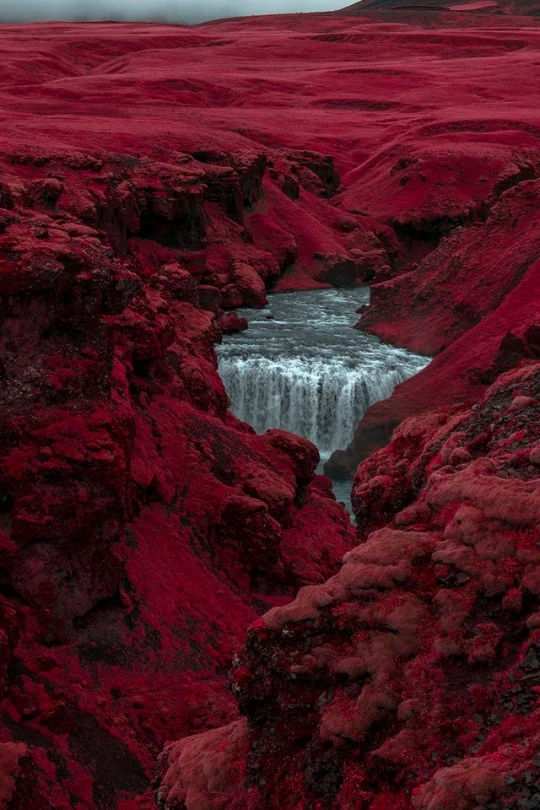 tumblr_p9rj30sG921rg590io8_540.jpg