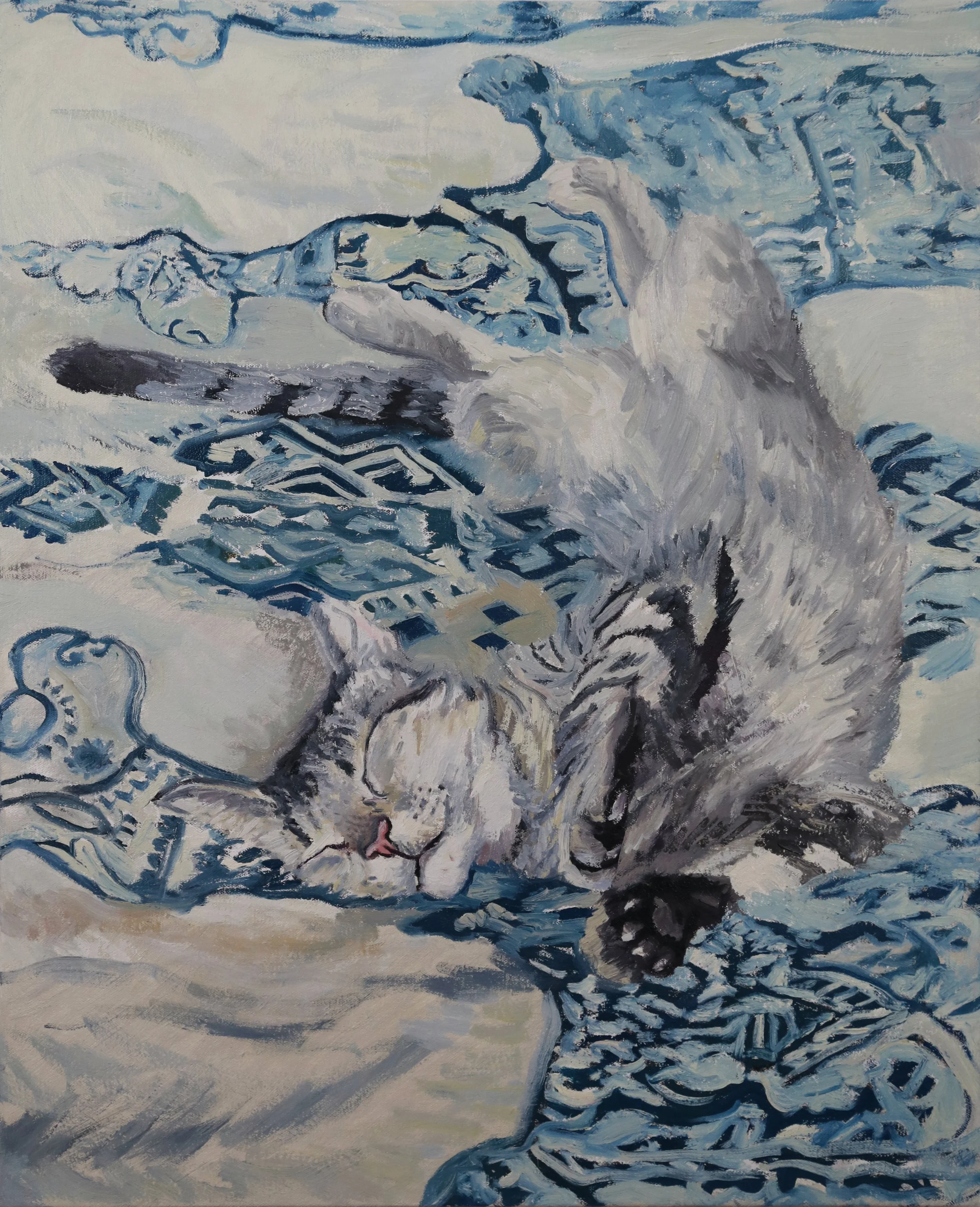 Coyote_On_WoolBlanket.jpg