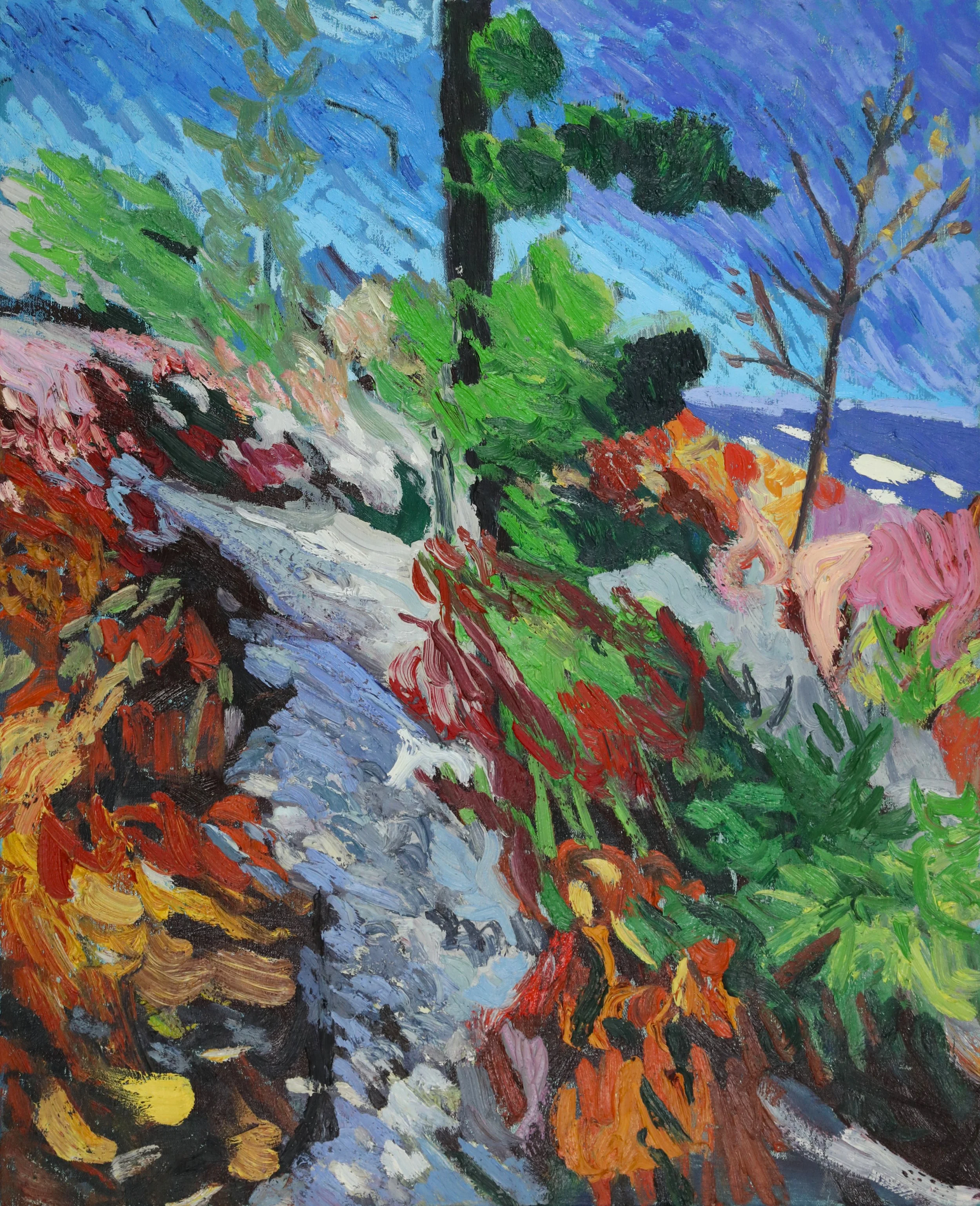 Mountain Pass