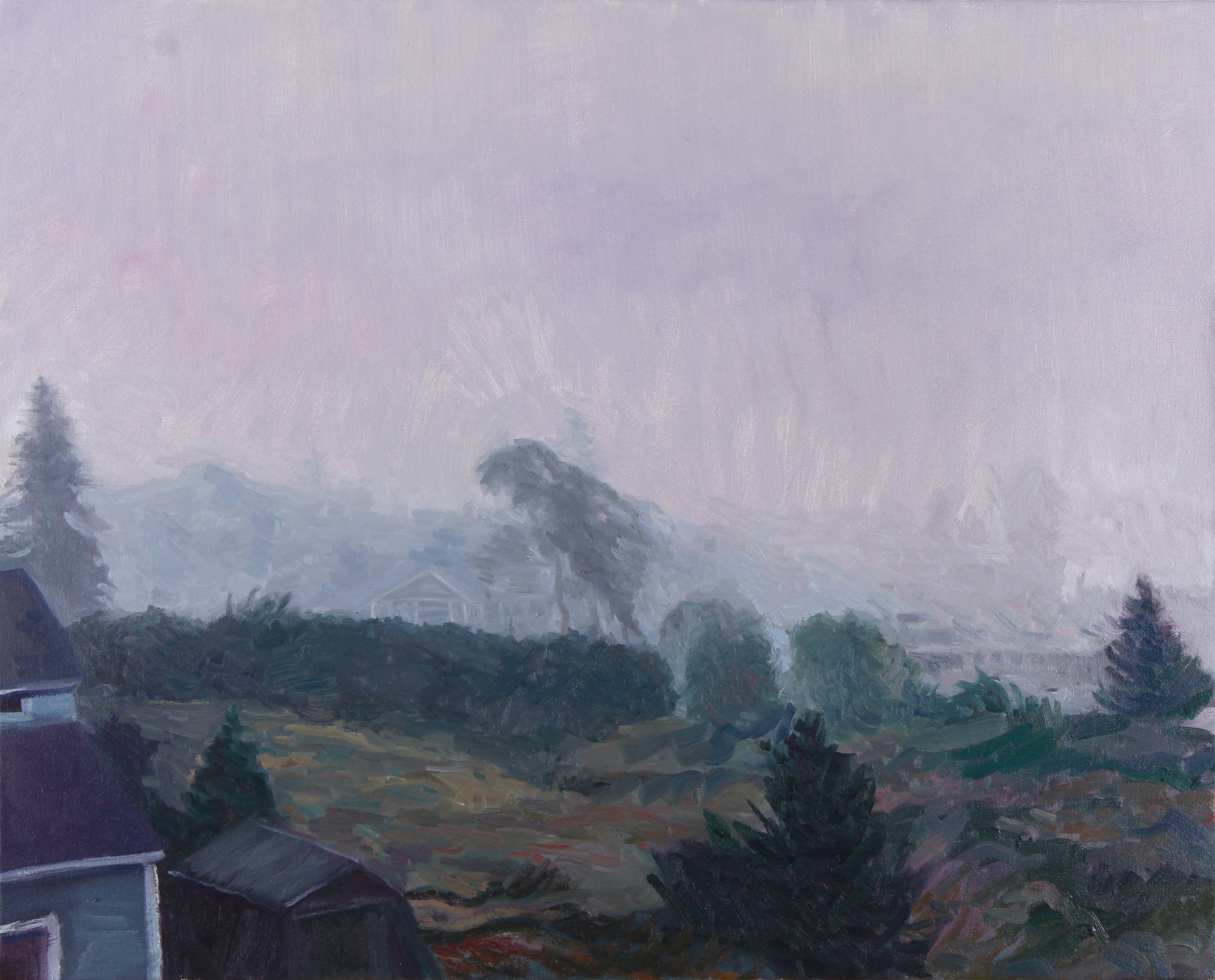 Maine Fog.jpg