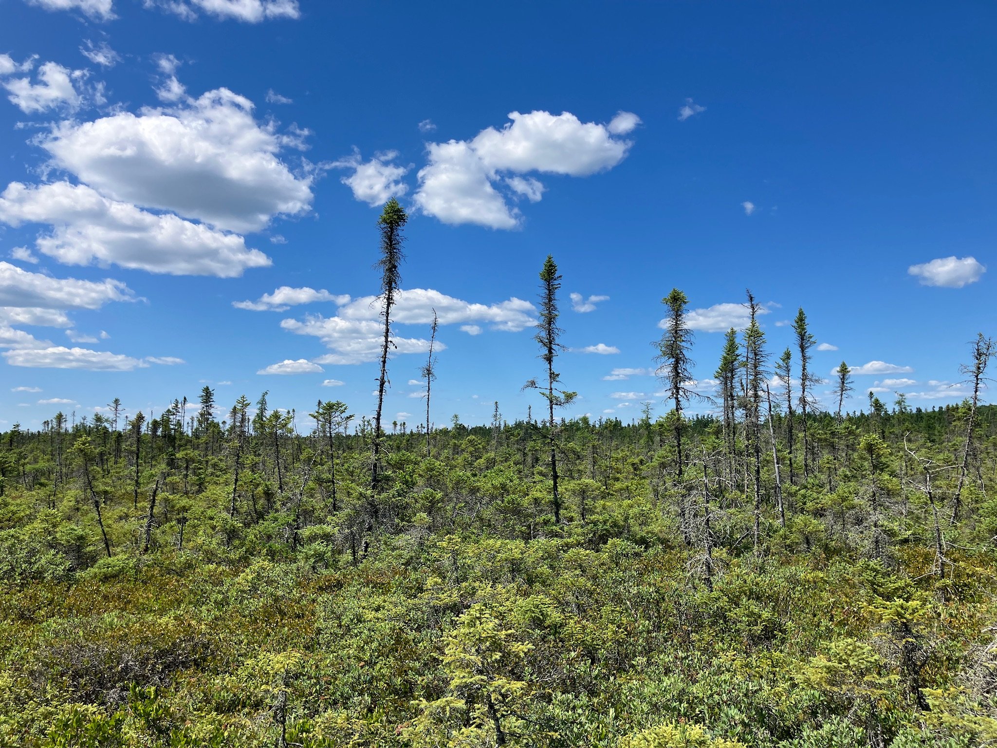 IMG_4070.JPG