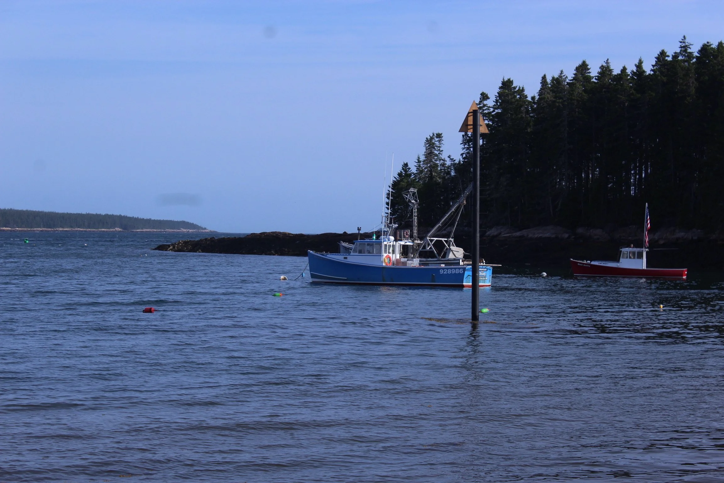 IMG_4245.JPG