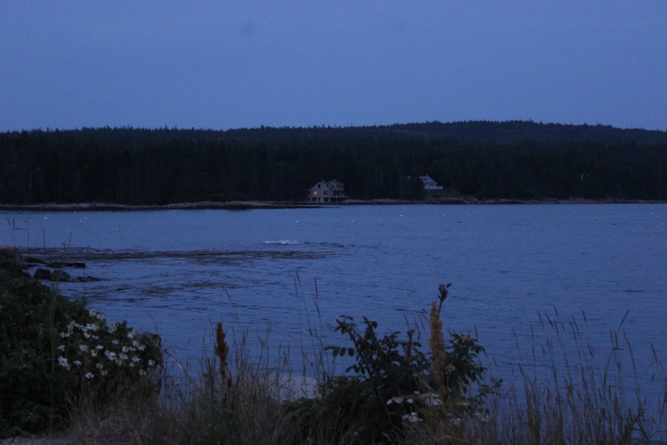 IMG_4299.JPG