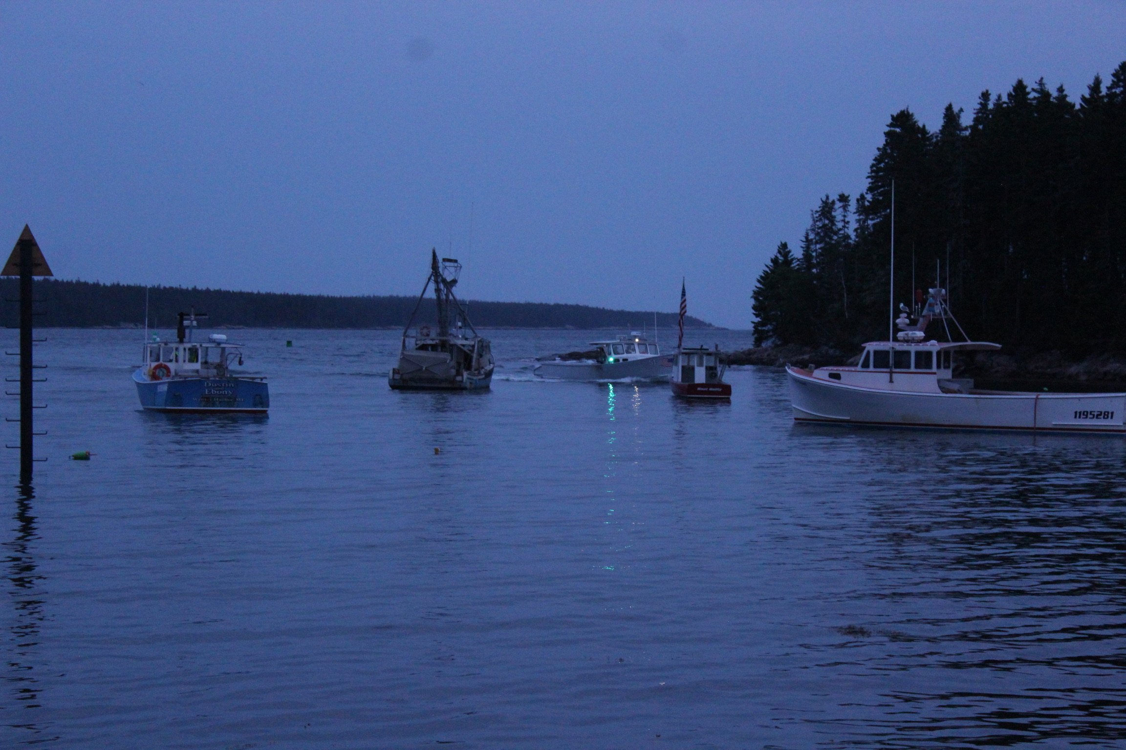 IMG_4300.JPG