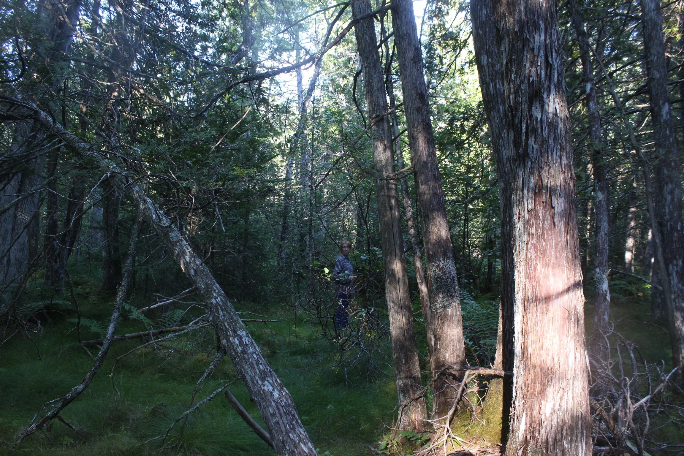 IMG_4840.JPG