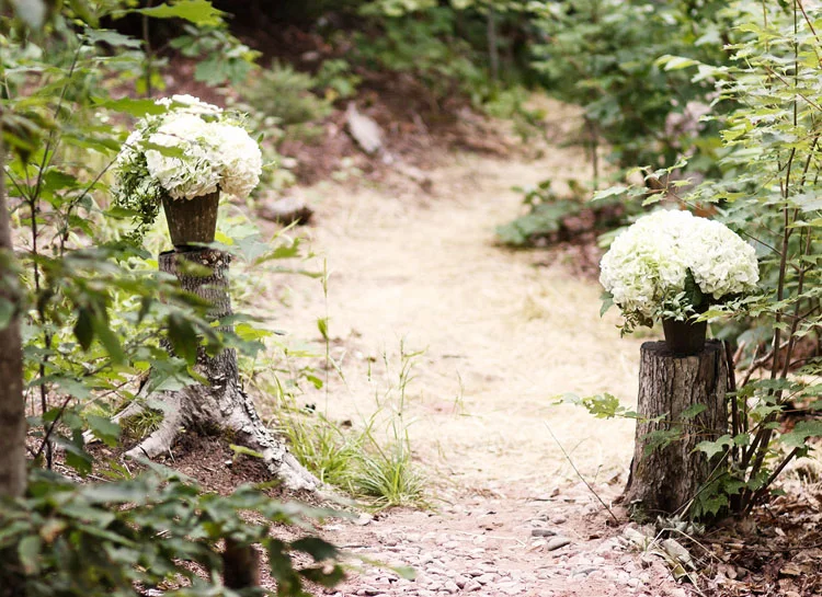 Upper Pennisula Woodsy Wedding
