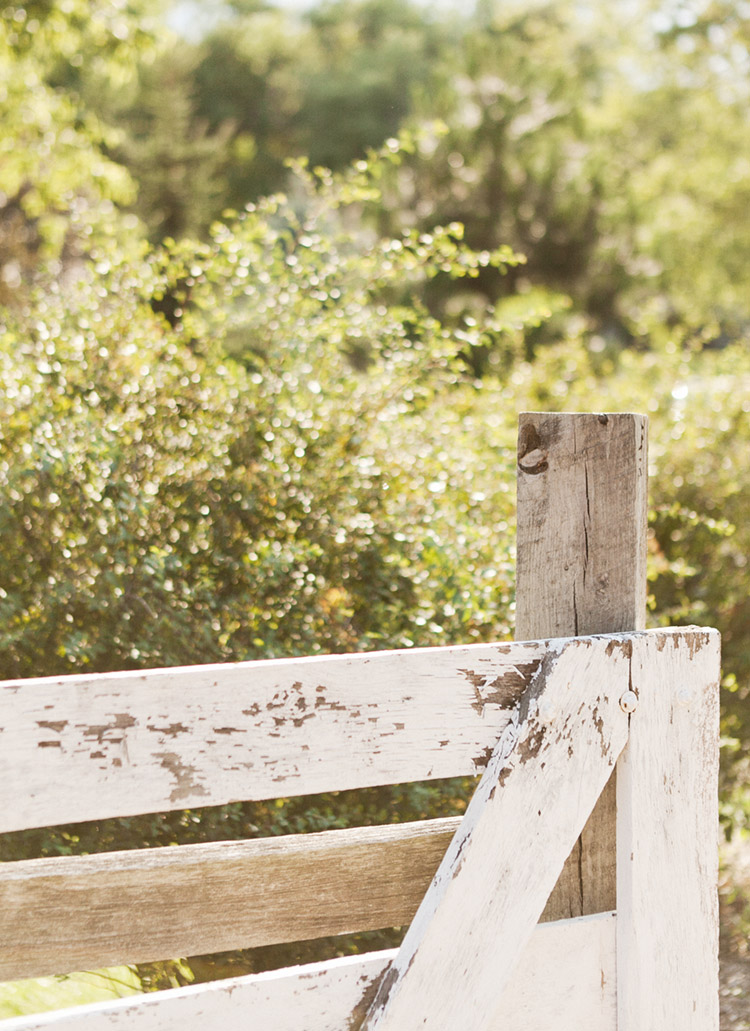 EllagraphStudios_11057_049