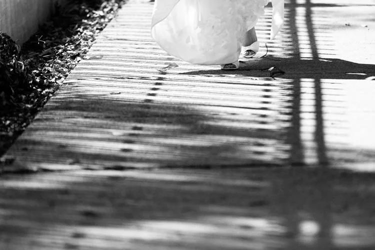 10_12082_090812_114BW