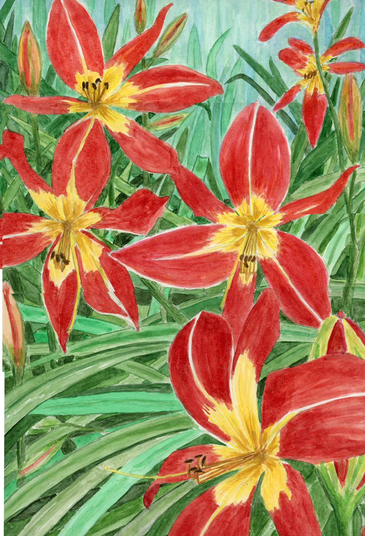 day lily.jpg