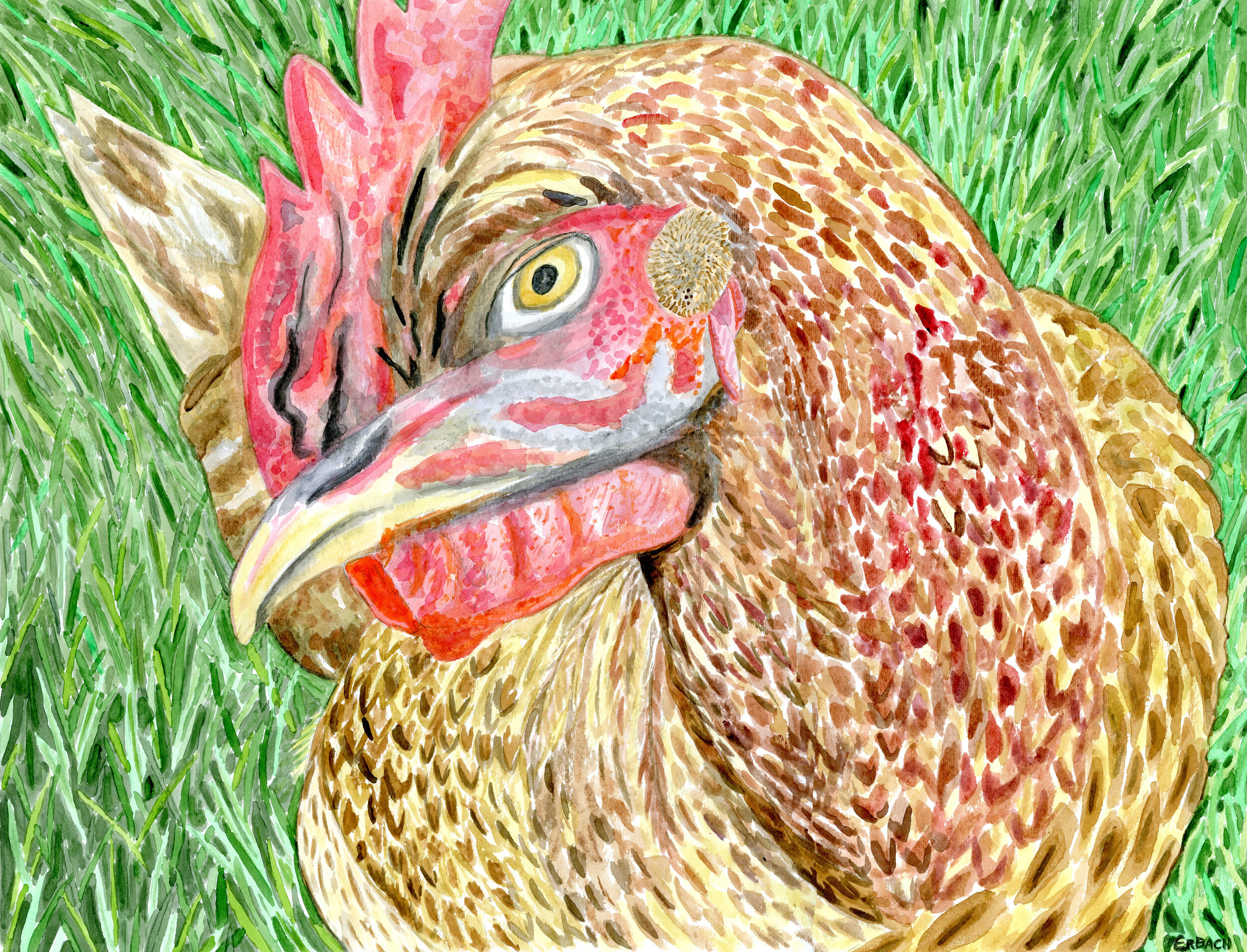 Peter's Chicken.jpg
