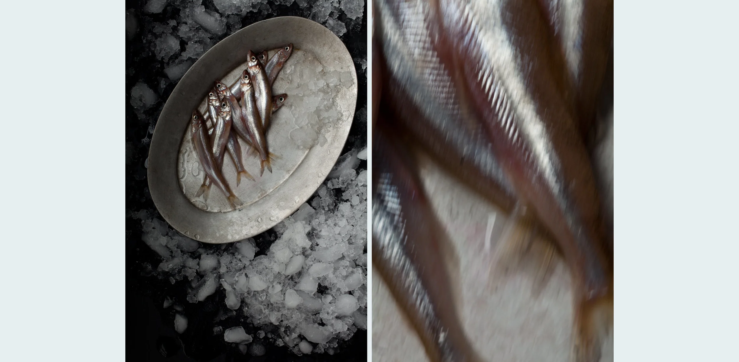 2014_WebLayout_Food_01.jpg