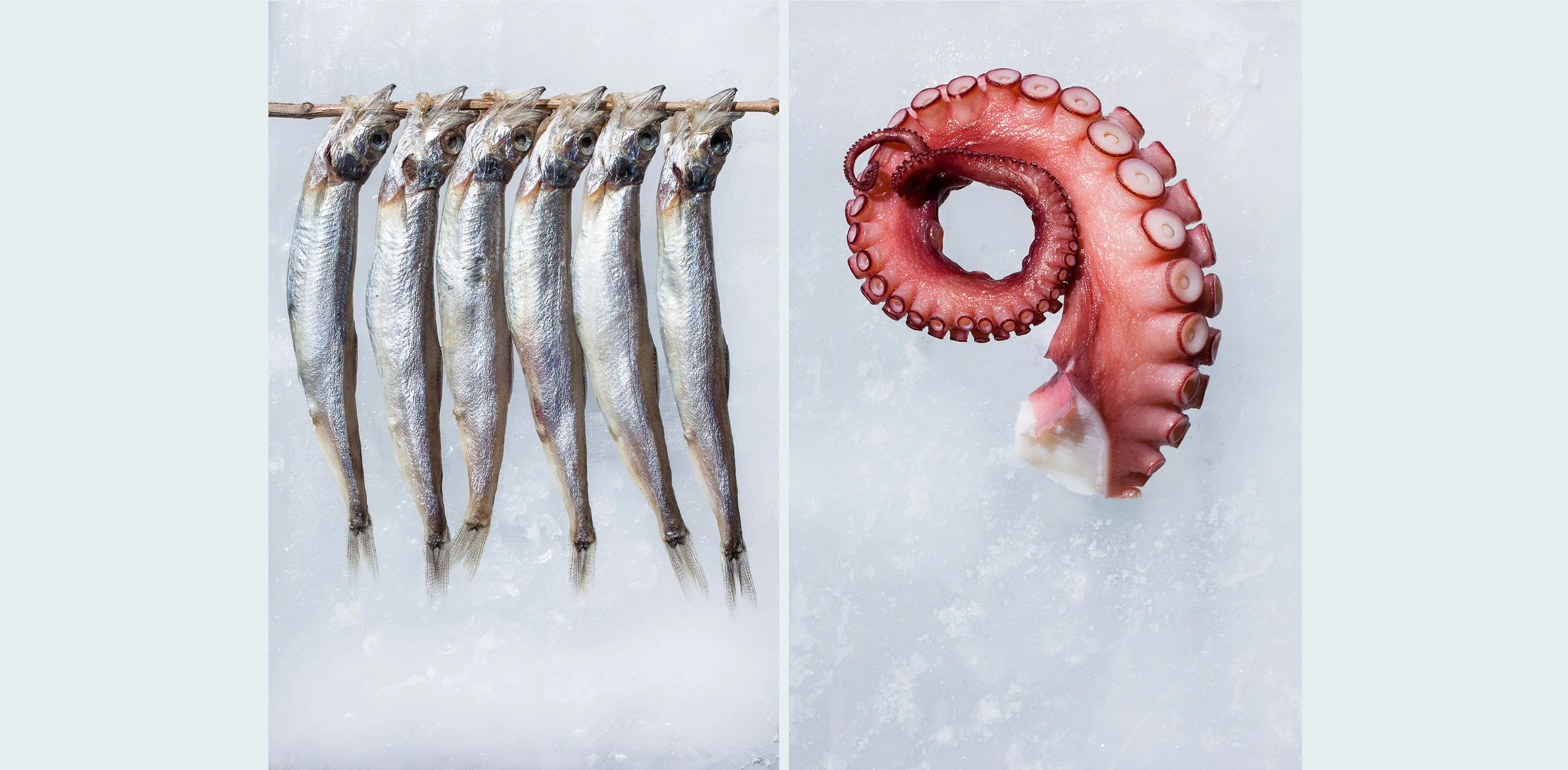 2014_WebLayout_Food_03.jpg