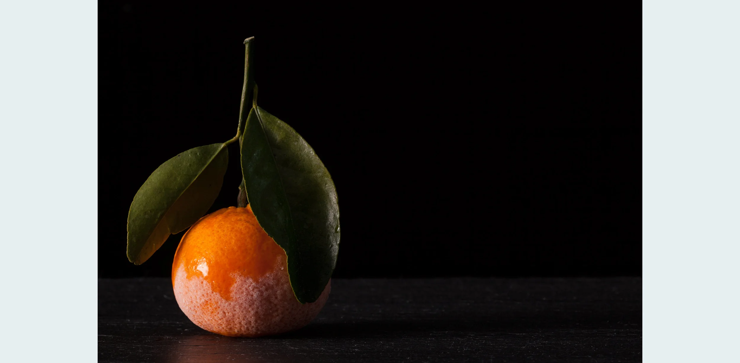 2014_WebLayout_Food_12.jpg