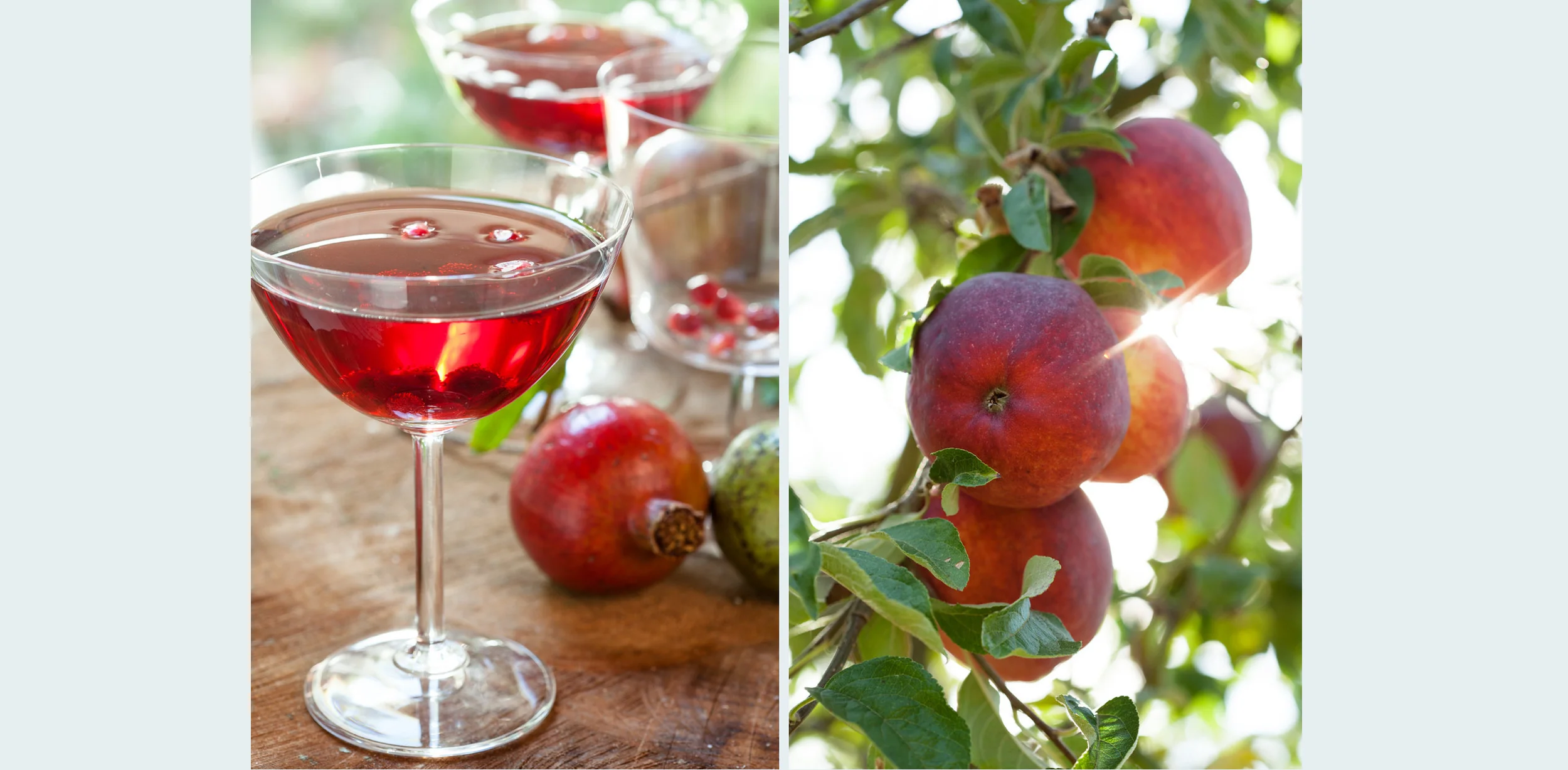 2014_WebLayout_Food_25.jpg