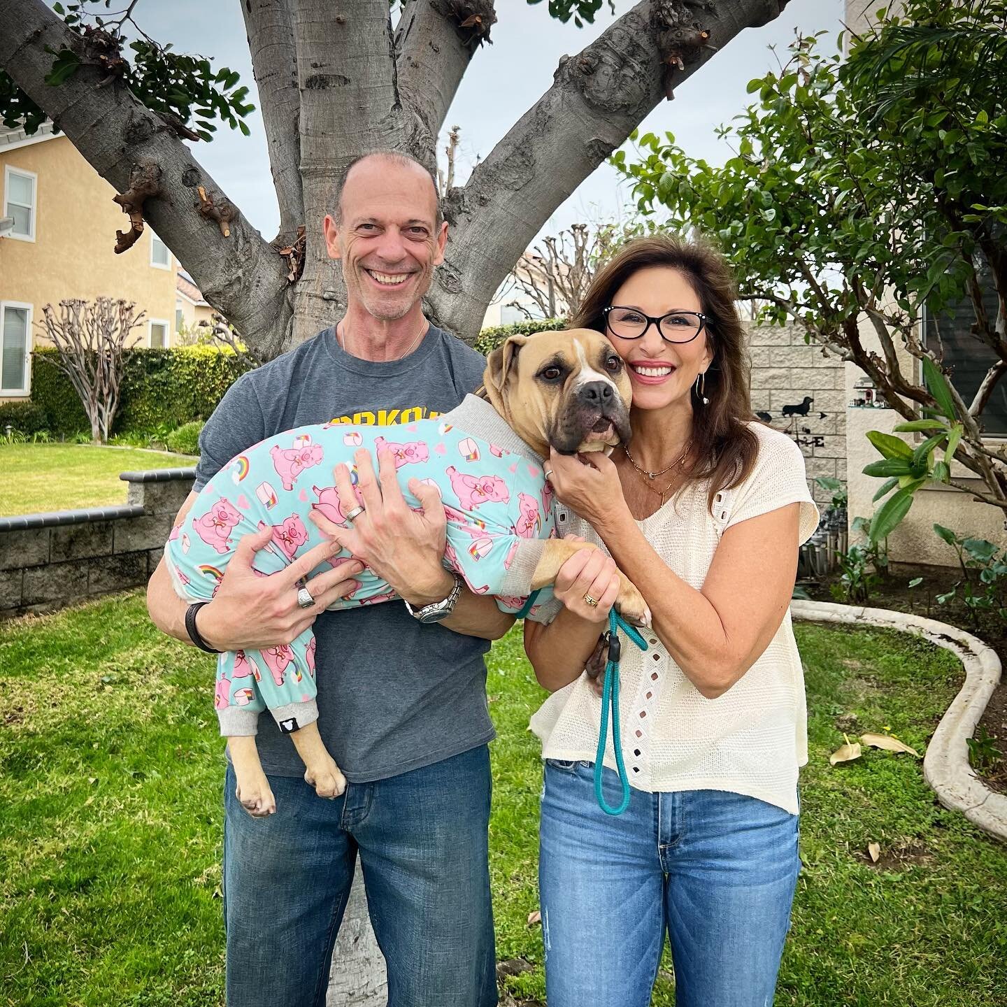 We are THRILLED to report that Guava (now named Zoey) has been ADOPTED!! We are thrilled!  Huge thanks to foster @rockyspals and to @humblek9 and @eleanor.andthedogs for fine tuning her leash skills!! Tremendous village! Happy Monday! ❤️
#guava🦄