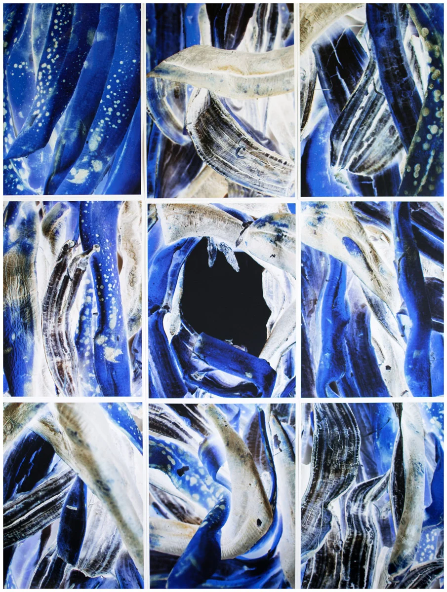  Untitled, 2015  Nine images, each approx. 16x20 in.,&nbsp;total dimension approx. 43 x 66 in. mounted on gessoed panel. 