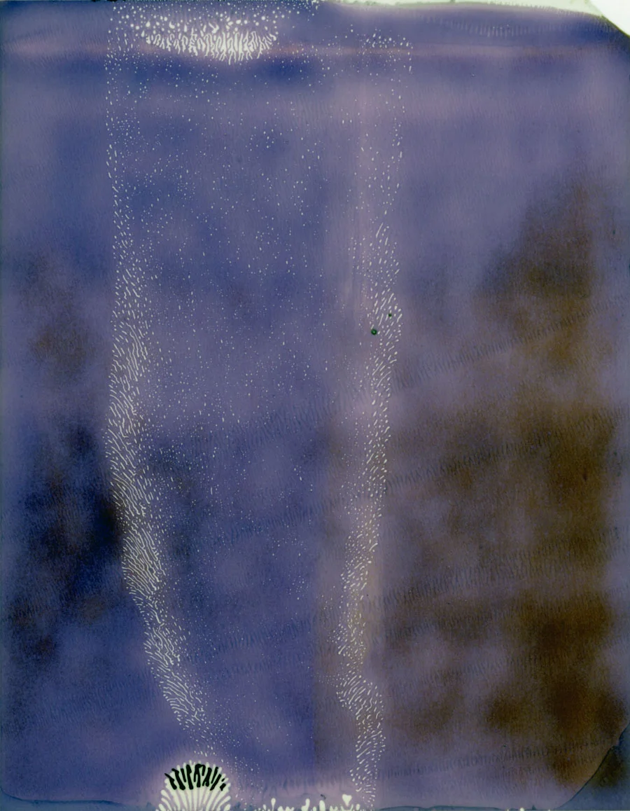 exppola100-5.jpg