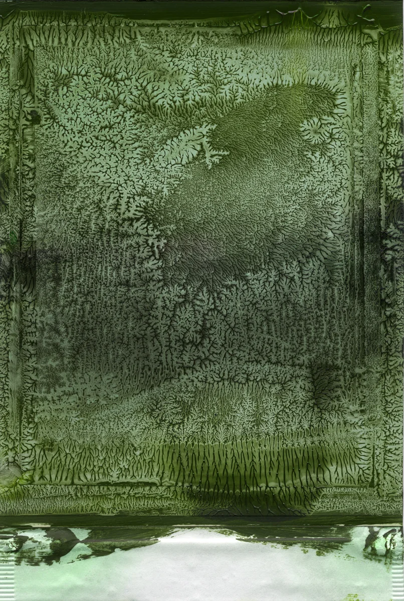 painted polaroid17.jpg