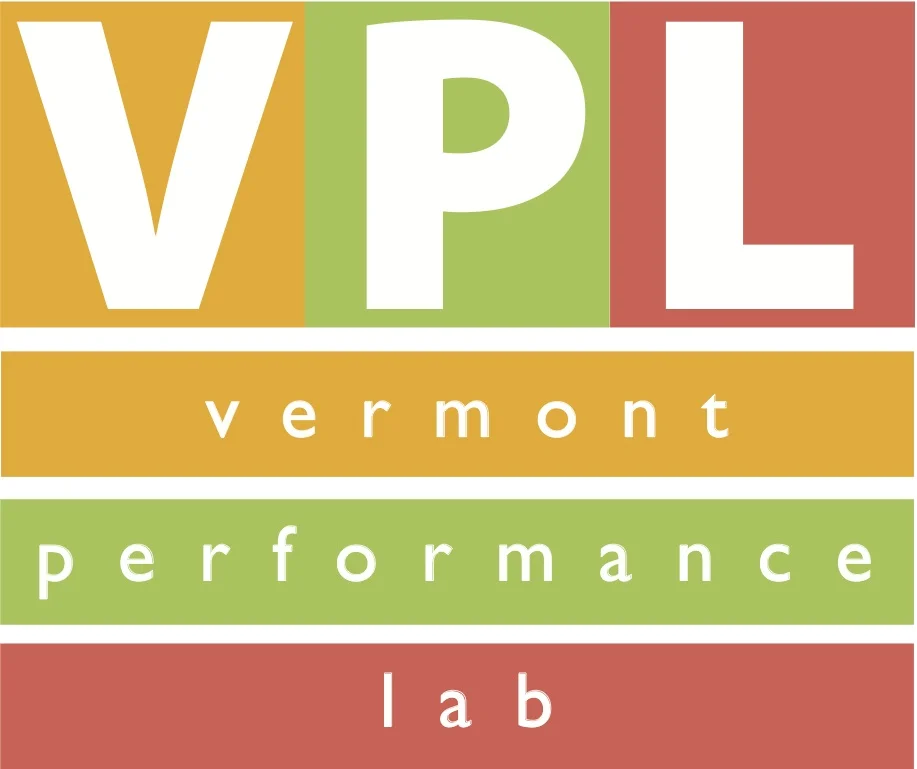 VPL logo.jpg