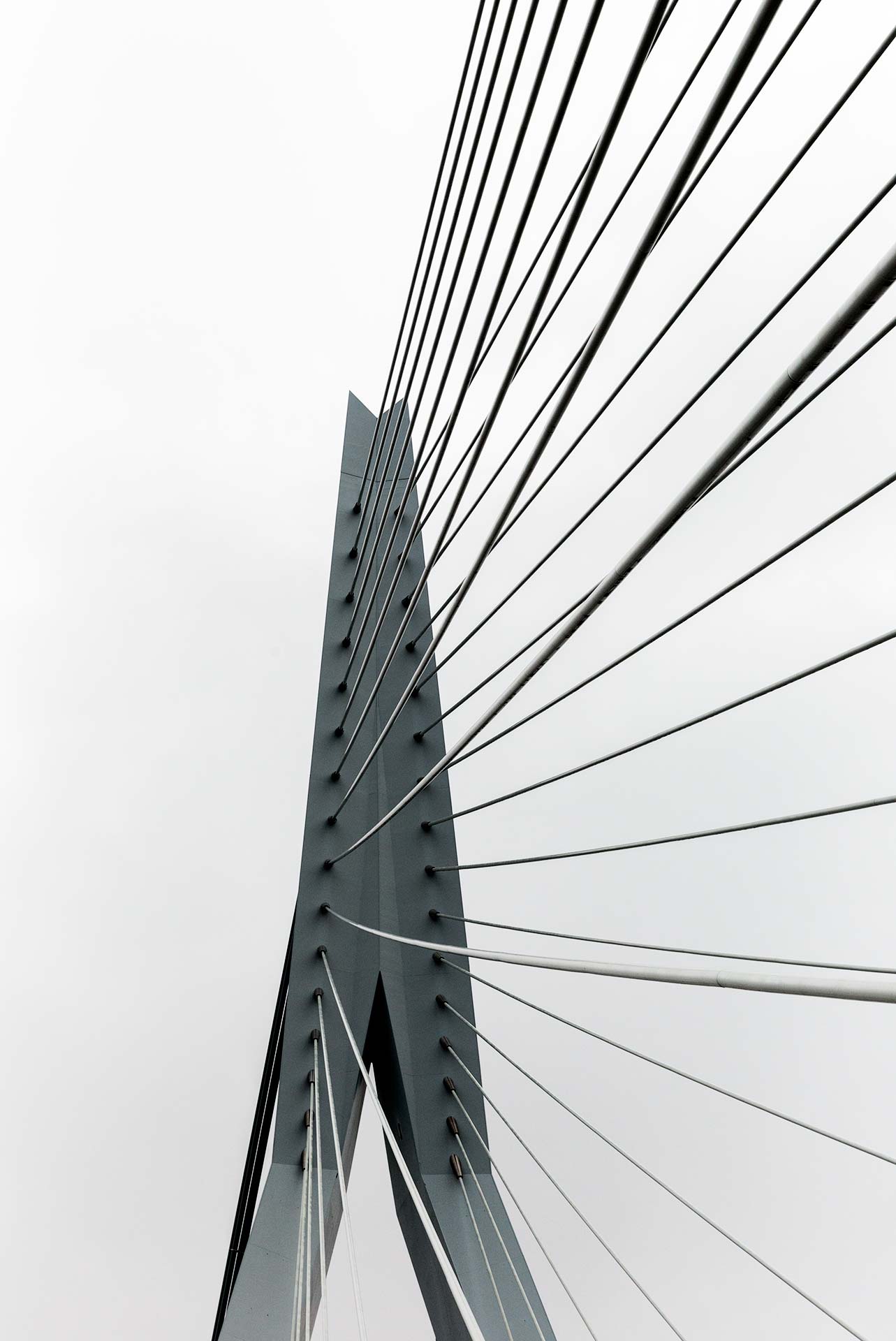 Erasmusbrug