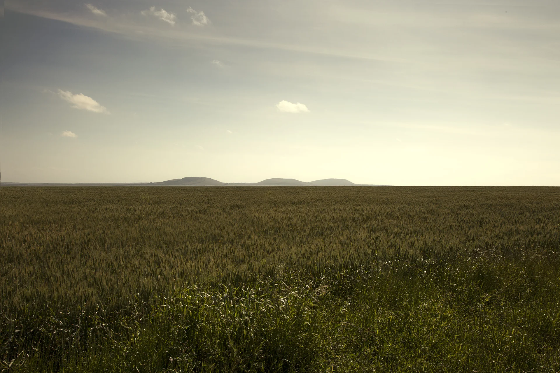 Nimbin Fields