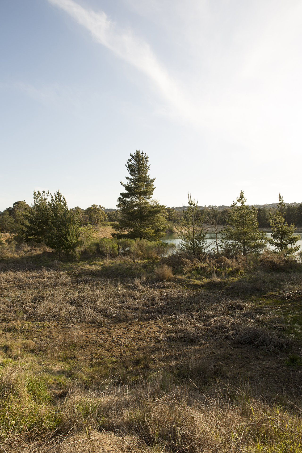 Blind Creek Trail